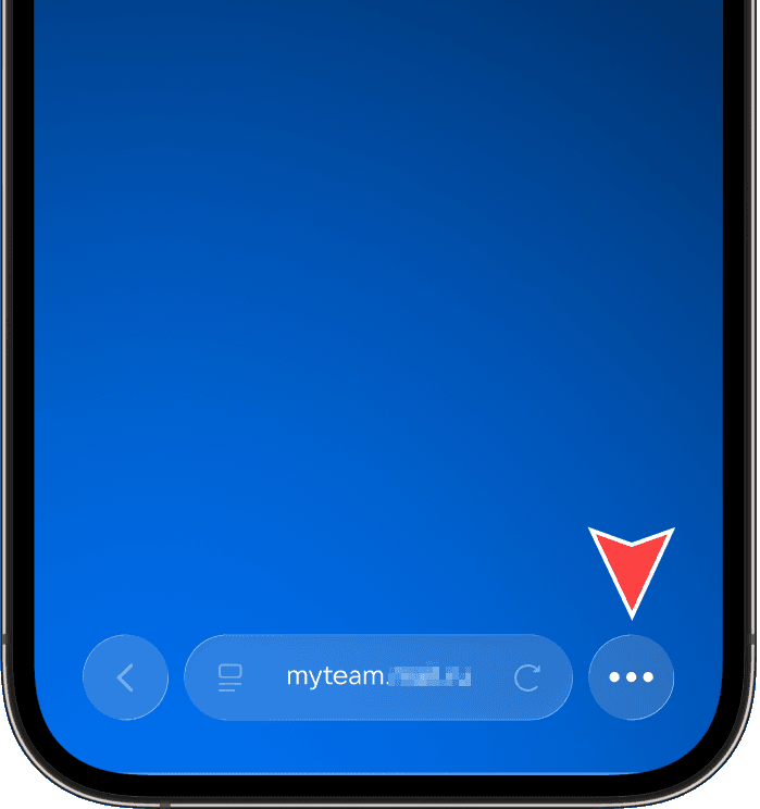 Варианты работы на iOS