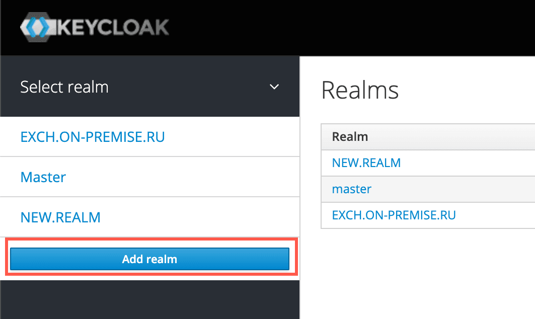 имя REALM